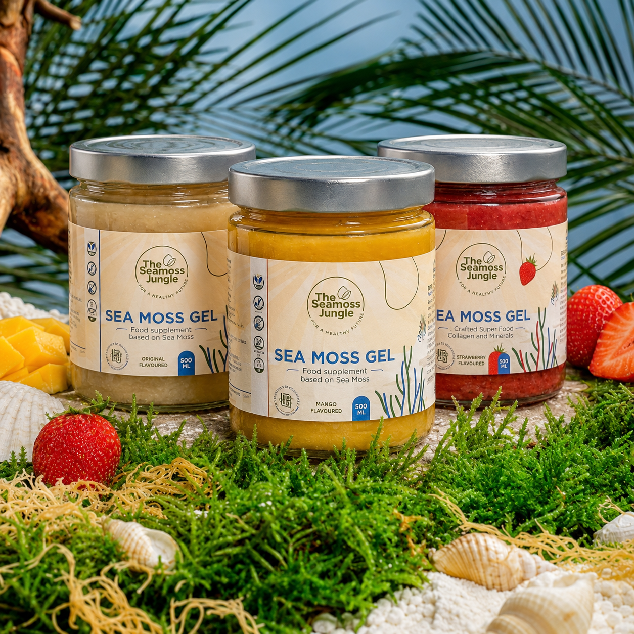 Sea Moss Gel - Pack Familial